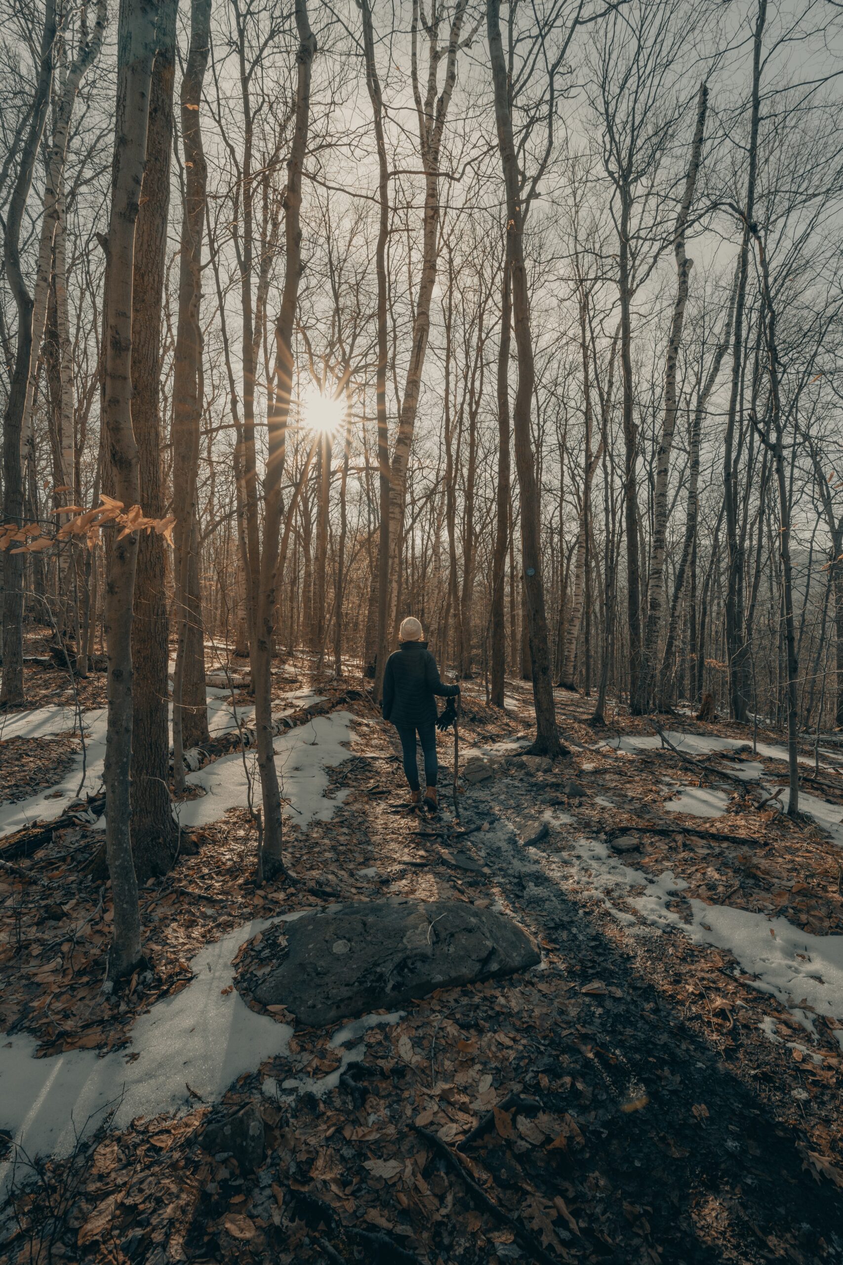 Why walking is good for you