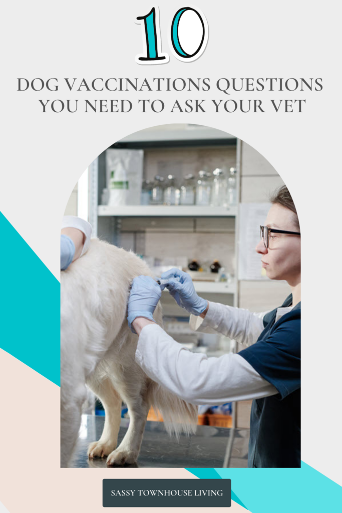 10 Dog Vaccinations Questions You Need To Ask Your Vet - Sassy Townhouse Living