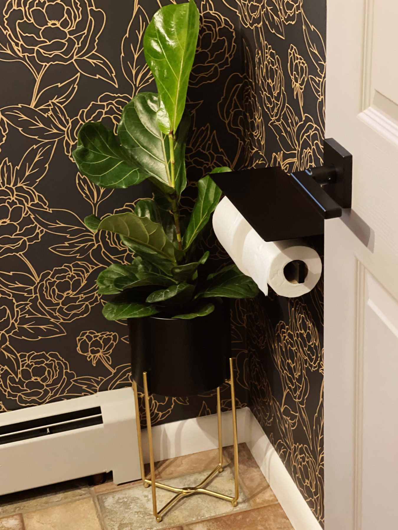 fiddle leaf fig plant, double toilet paper holder