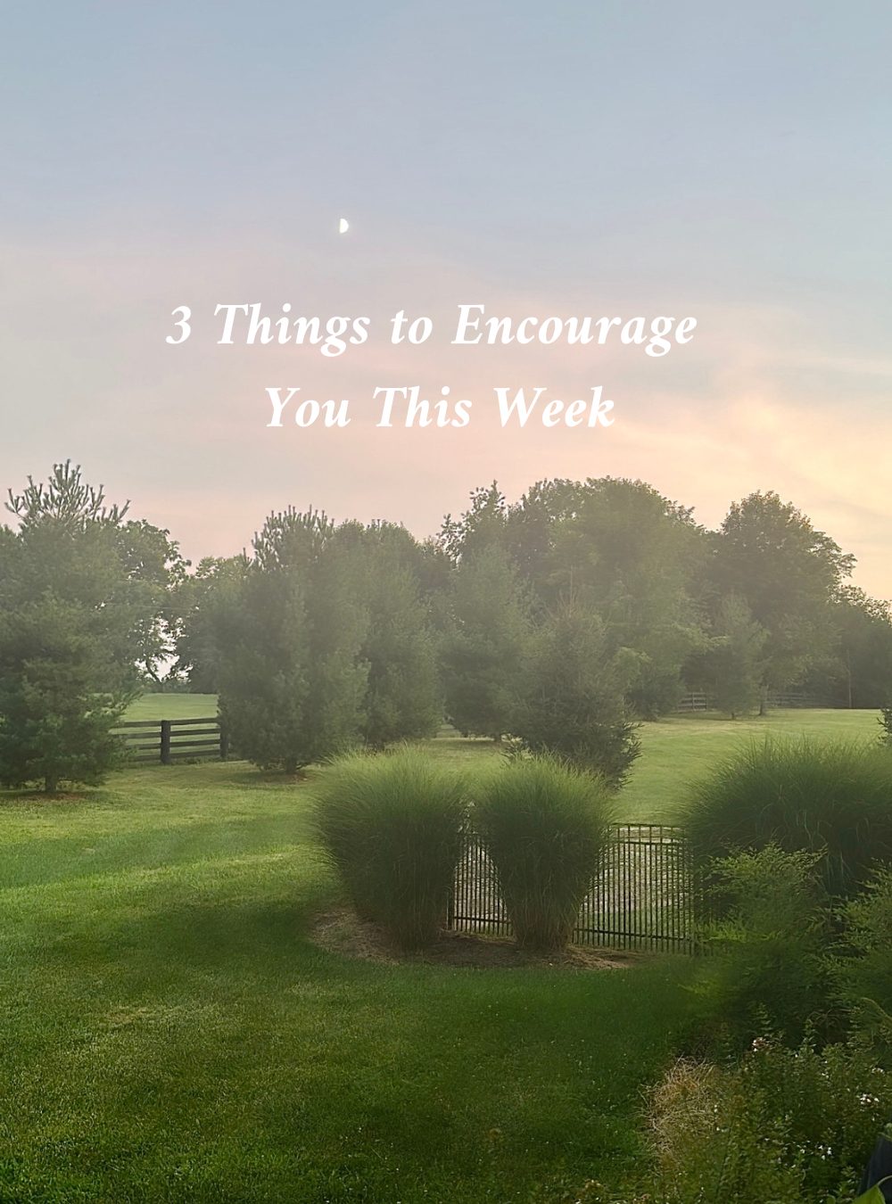 3 Things to Encourage You This Week