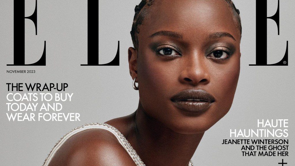 Bland or Beautiful? Mayowa Nicholas’ November 2023 Cover of British ELLE Divides Our Forum Members