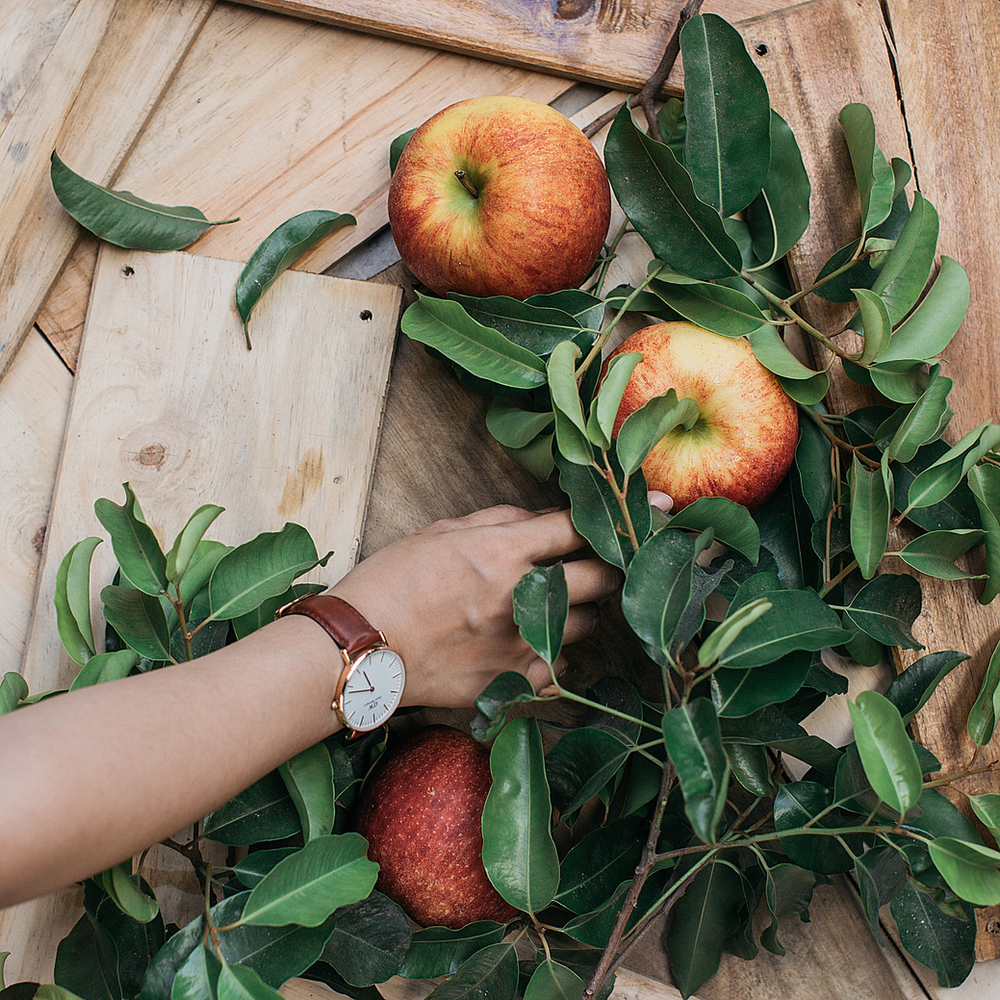 organic apples on a tree
