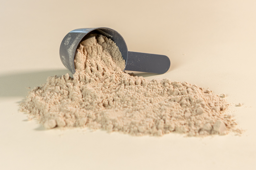 protein powder