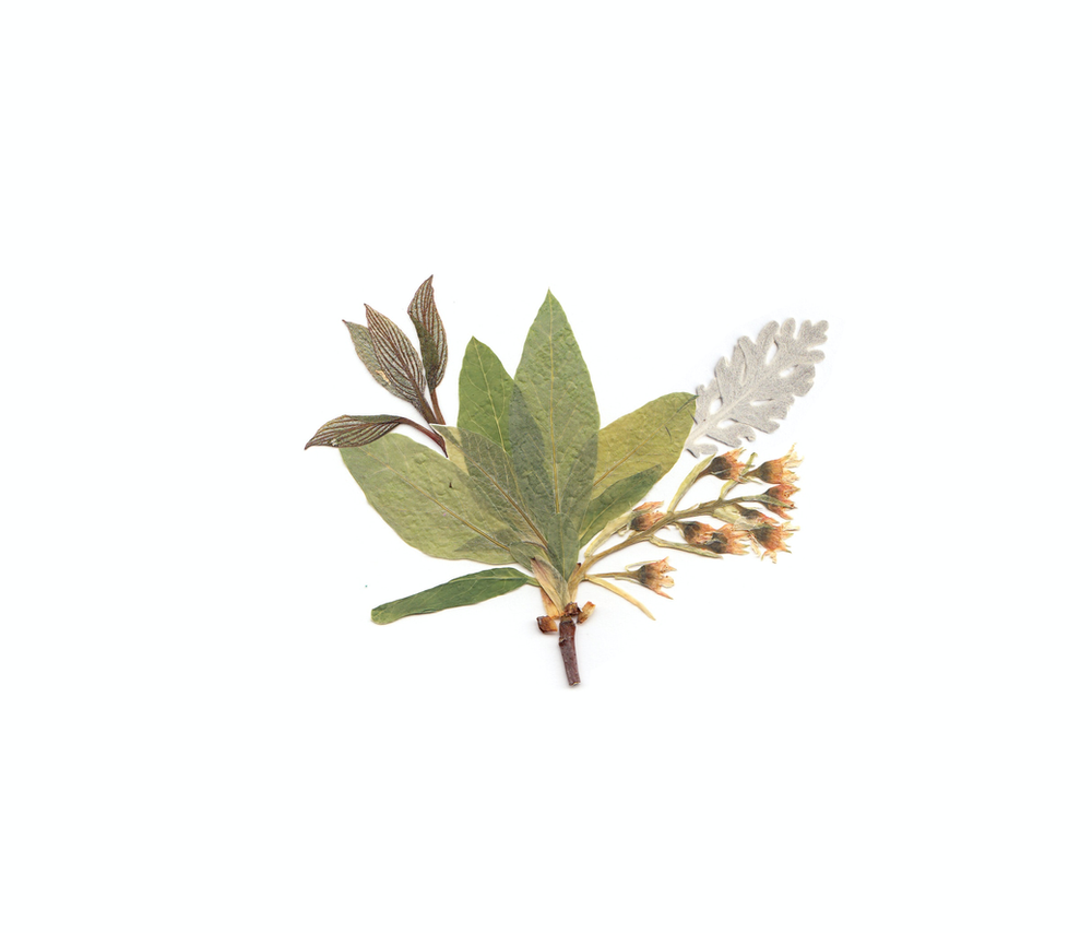 botanical wall art