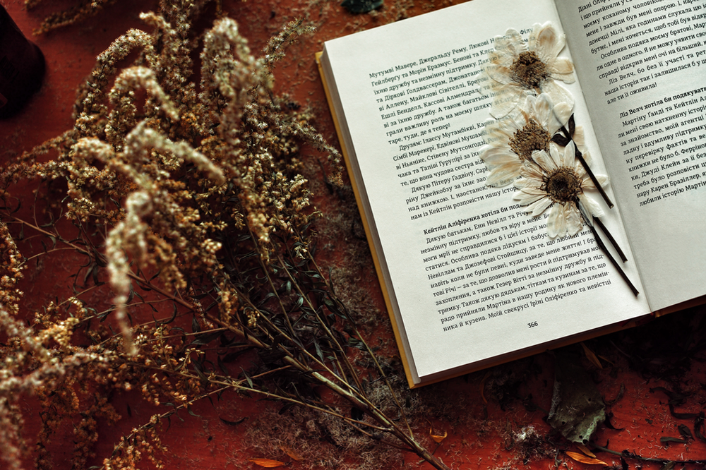botanical flowers pressed in a book