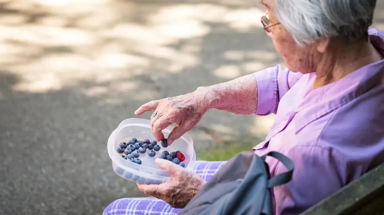 Blueberries and Brain Health: Unlocking the Power of the Gut-Brain Axis