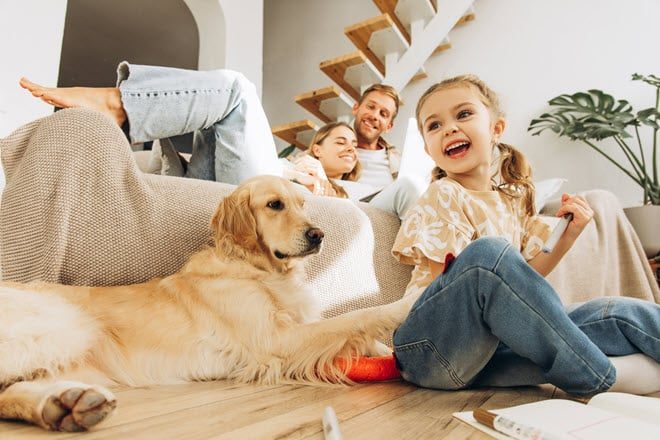 Children And Pet-Friendly Materials For A Durable, Safe Home