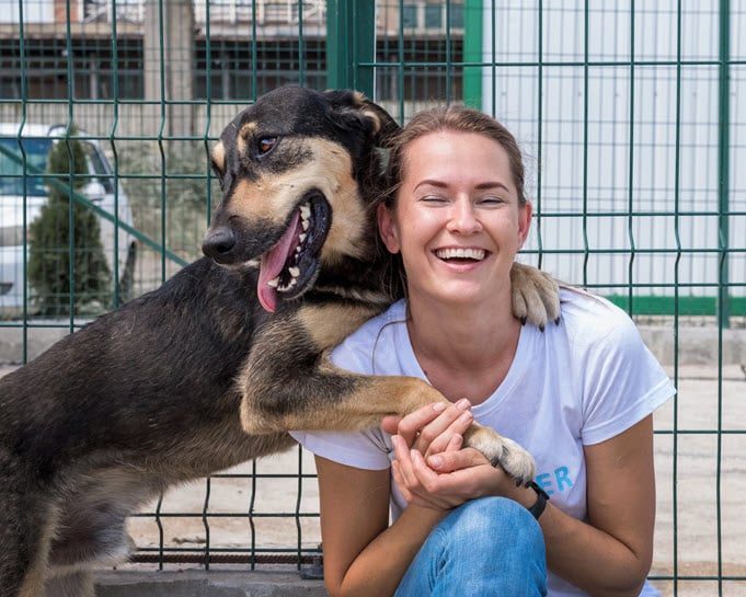 Preparing Your Pet For A Smooth Boarding Experience