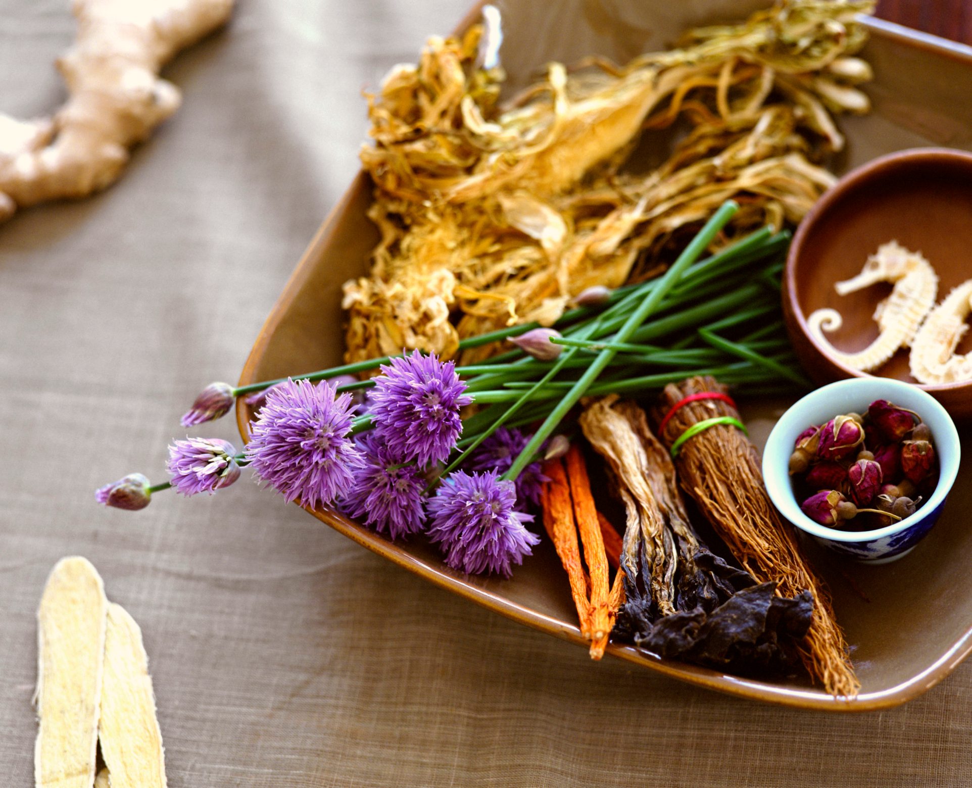 Herbal Management of Diabetes – Women Fitness